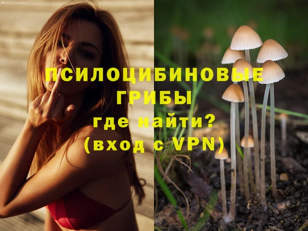 ПСИЛОЦИБИНОВЫЕ ГРИБЫ Усинск