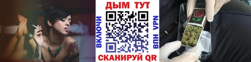 Шишки марихуана THC 21%  цены   Шенкурск 